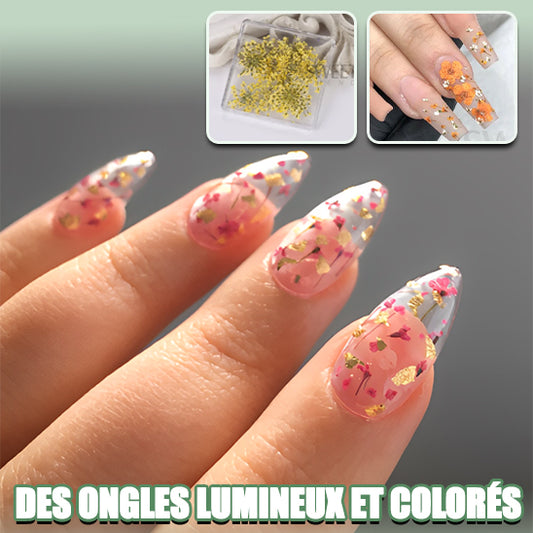 Décoration des ongles
